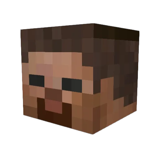 Lt_Waffles42 Minecraft avatar head, 3D render