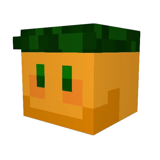 Ltrapper Minecraft avatar head, 3D render