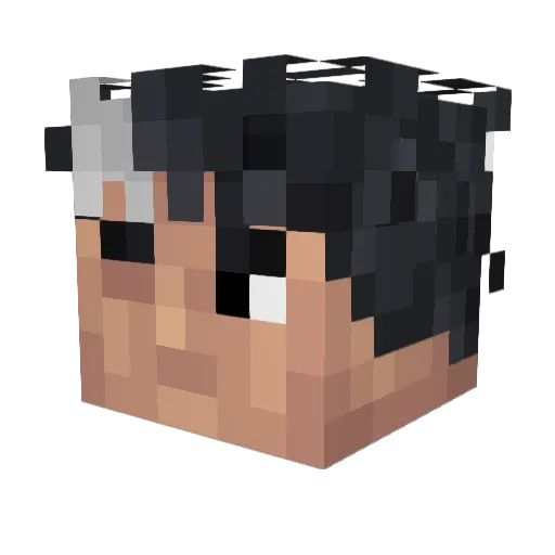 LtuIgnasM Minecraft avatar head, 3D render