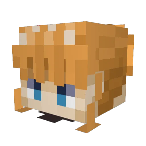 Lu1s2814 Minecraft avatar head, 3D render