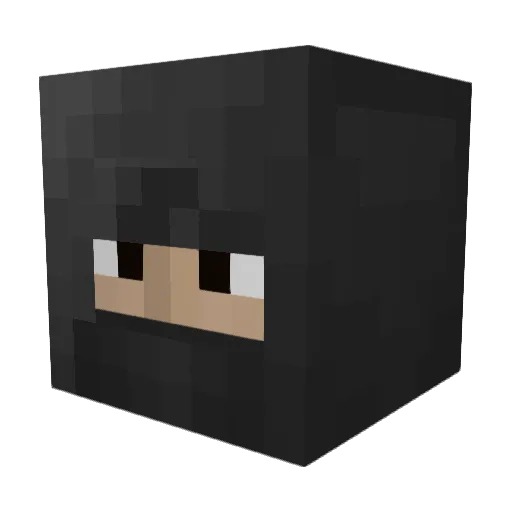 Lu1z764 Minecraft avatar head, 3D render