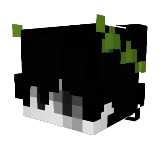 Lu5kinha Minecraft avatar head, 3D render