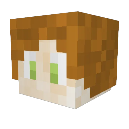 LuCarryYou Minecraft avatar head, 3D render