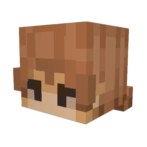LuFeX022 Minecraft avatar head, 3D render