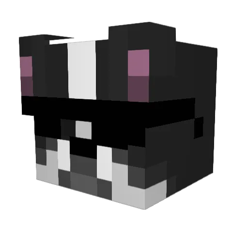 LuKaS_34 Minecraft avatar head, 3D render