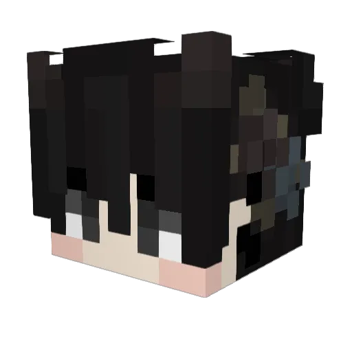 LuKou_ Minecraft avatar head, 3D render