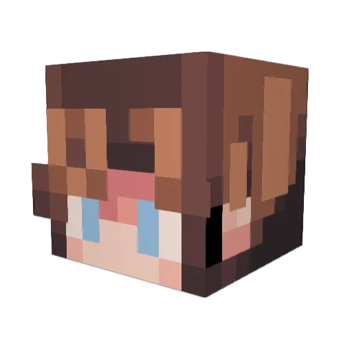 LuLaLi20 Minecraft avatar head, 3D render