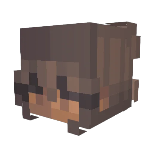 LuLion12 Minecraft avatar head, 3D render