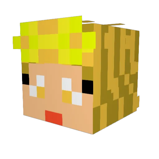 LuLu_sk Minecraft avatar head, 3D render