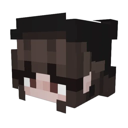 LuLuinit2954 Minecraft avatar head, 3D render