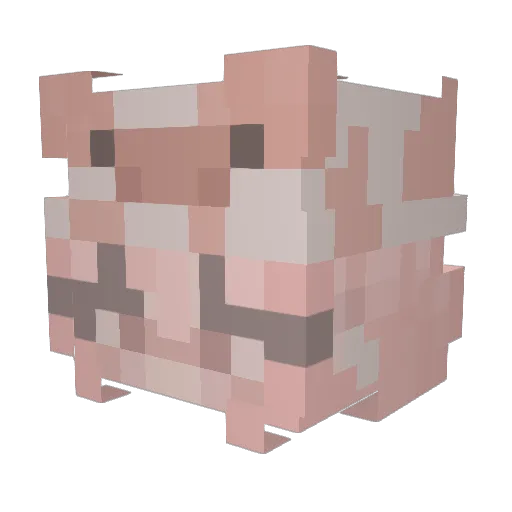 LuNeves Minecraft avatar head, 3D render