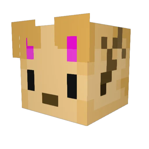LuNiFra Minecraft avatar head, 3D render