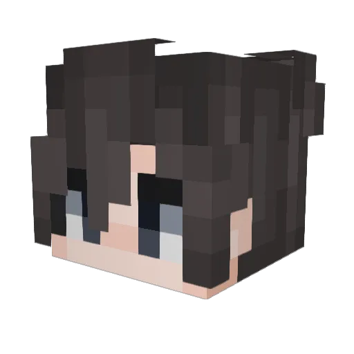 LuZaoGOGO Minecraft avatar head, 3D render