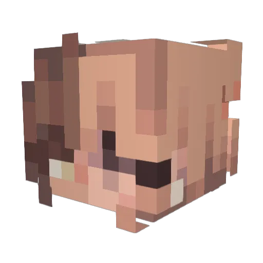 Lu_1948 Minecraft avatar head, 3D render