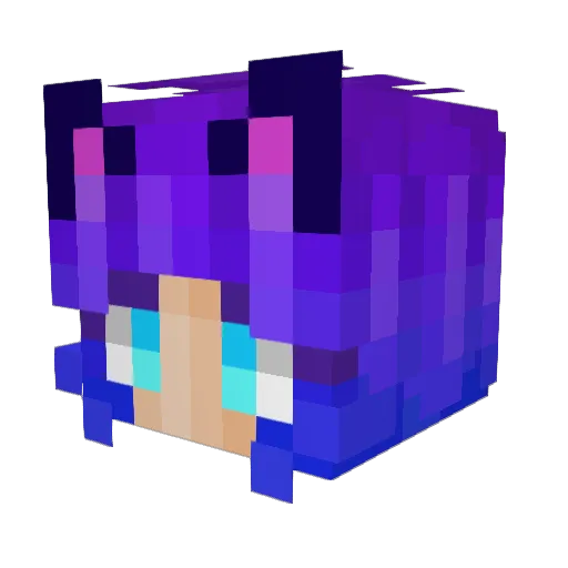 Lu_Gamer10 Minecraft avatar head, 3D render