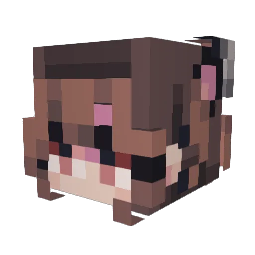 Lua6770 Minecraft avatar head, 3D render