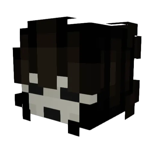 LuaMuitoManeira Minecraft avatar head, 3D render