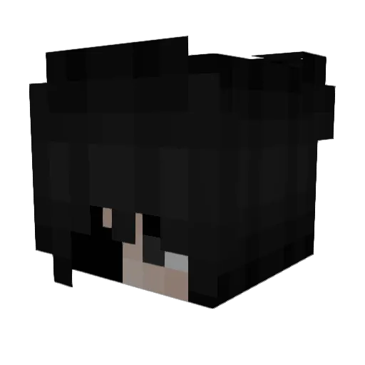 LuaR789 Minecraft avatar head, 3D render
