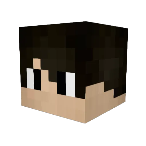 Luaan_ Minecraft avatar head, 3D render