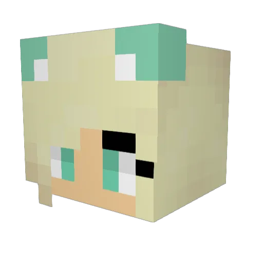 LuanGamer_Rj Minecraft avatar head, 3D render