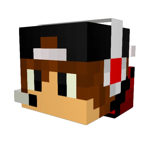 LuanKings81 Minecraft avatar head, 3D render