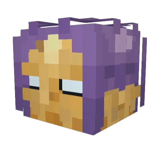 LuanSanto Minecraft avatar head, 3D render