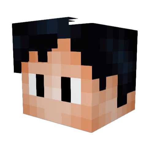 LuannSP Minecraft avatar head, 3D render