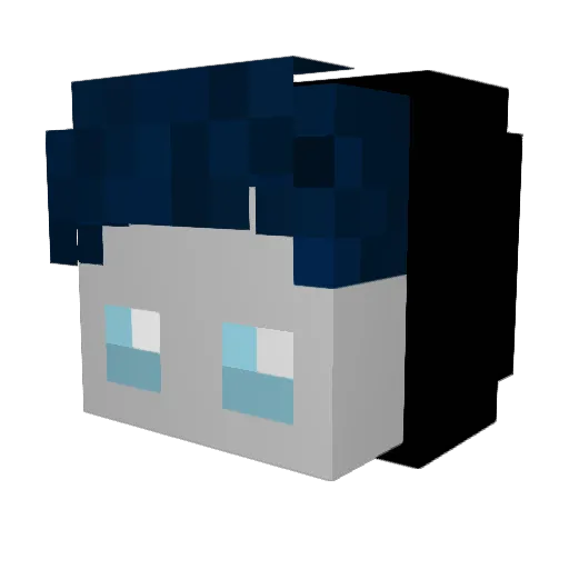 Luap200303 Minecraft avatar head, 3D render
