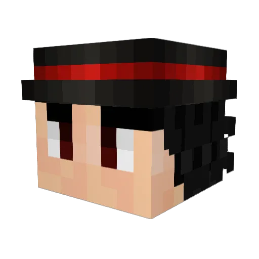 LubaPula Minecraft avatar head, 3D render