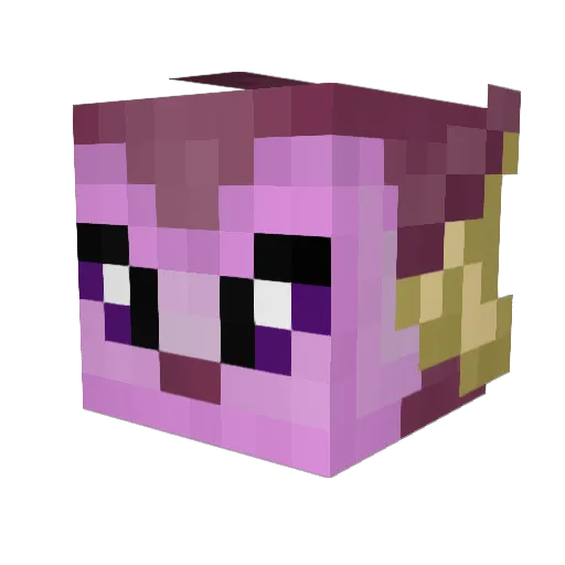 Lubeee8 Minecraft avatar head, 3D render