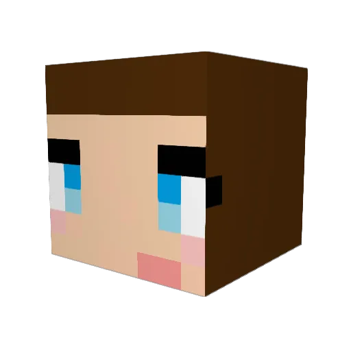 Lubiloo Minecraft avatar head, 3D render