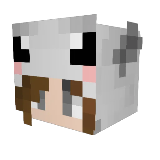 Lubnaamin2004 Minecraft avatar head, 3D render