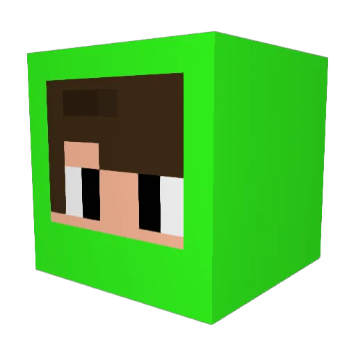 Lubulu3 Minecraft avatar head, 3D render