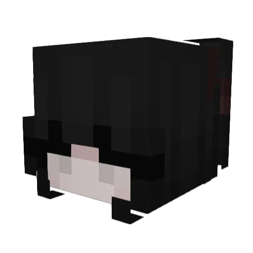 Luc1a06 Minecraft avatar head, 3D render