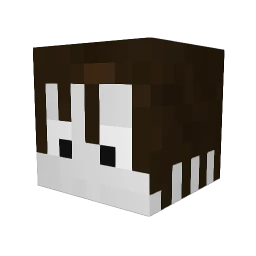 Luc1nco Minecraft avatar head, 3D render