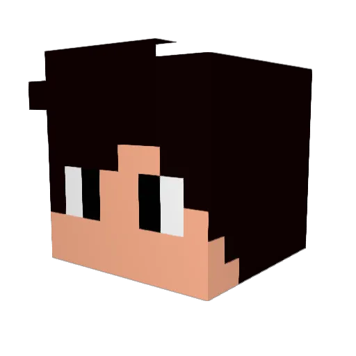 Luc40_ Minecraft avatar head, 3D render