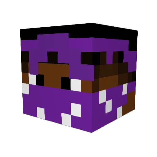 Luc9ki Minecraft avatar head, 3D render
