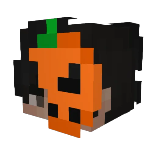 Luca3027 Minecraft avatar head, 3D render
