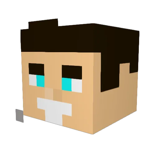 LucaPlayzzz26 Minecraft avatar head, 3D render