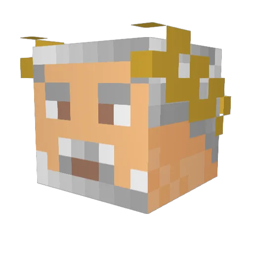 LucaSpart3 Minecraft avatar head, 3D render