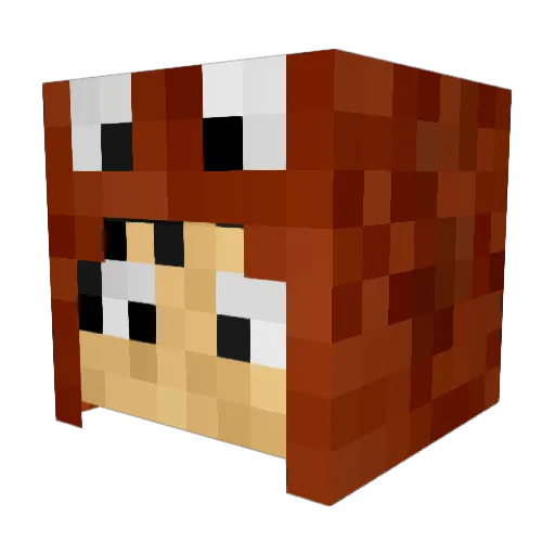 LucaXIV Minecraft avatar head, 3D render