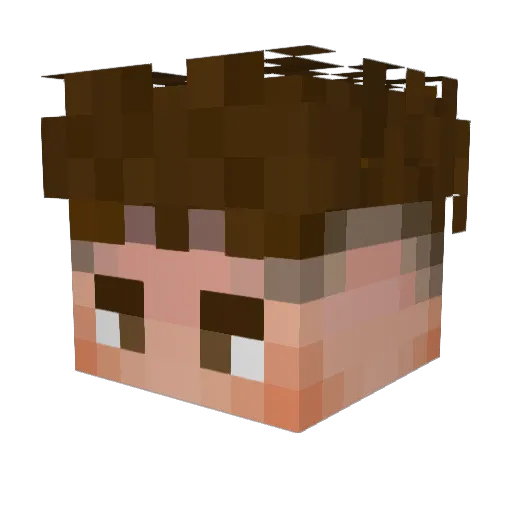 Luca__MC Minecraft avatar head, 3D render