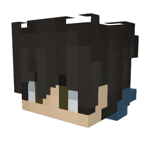 Lucafalke Minecraft avatar head, 3D render