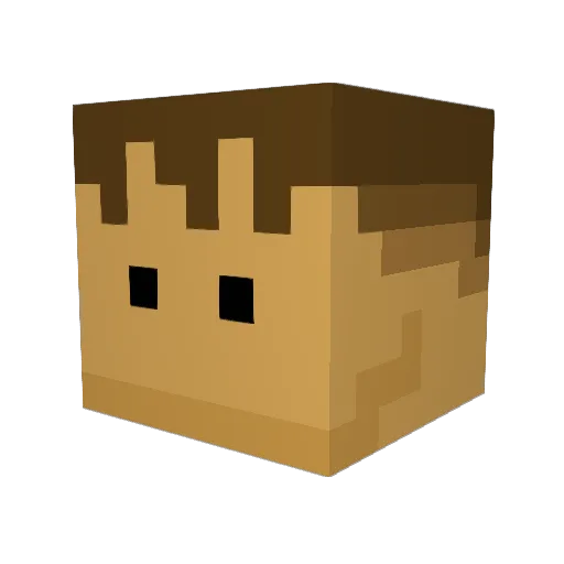 Lucajava Minecraft avatar head, 3D render