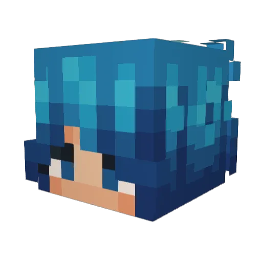 Lucani45 Minecraft avatar head, 3D render