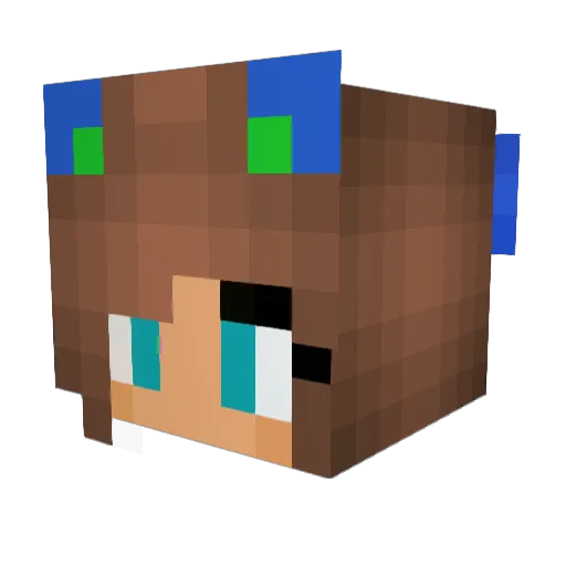 Lucario09 Minecraft avatar head, 3D render