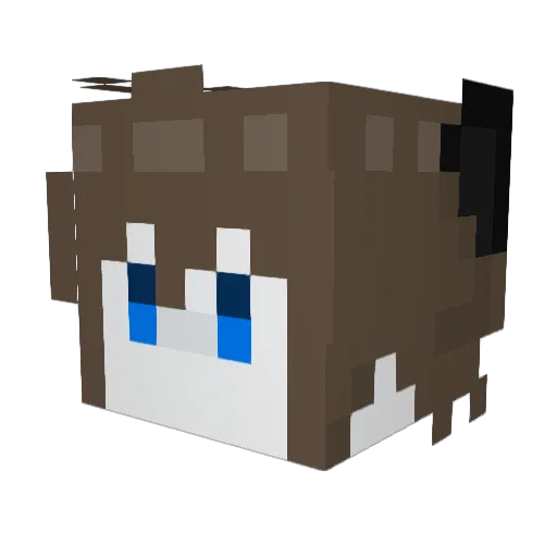 Lucario_2K05 Minecraft avatar head, 3D render