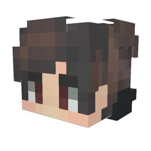 Lucas12501 Minecraft avatar head, 3D render