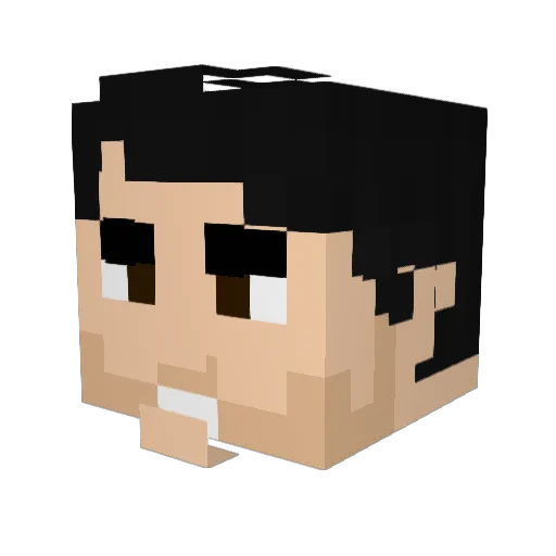 Lucas200317 Minecraft avatar head, 3D render