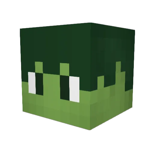 Lucas2807 Minecraft avatar head, 3D render